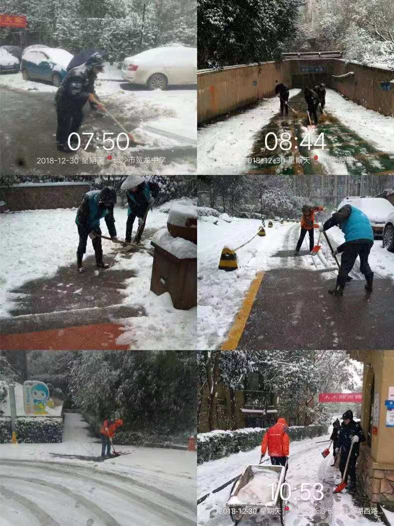 7七彩文旅 (4).jpg